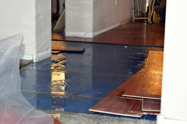 Professional Water Damage Restoration technician working in Gratiot, OH